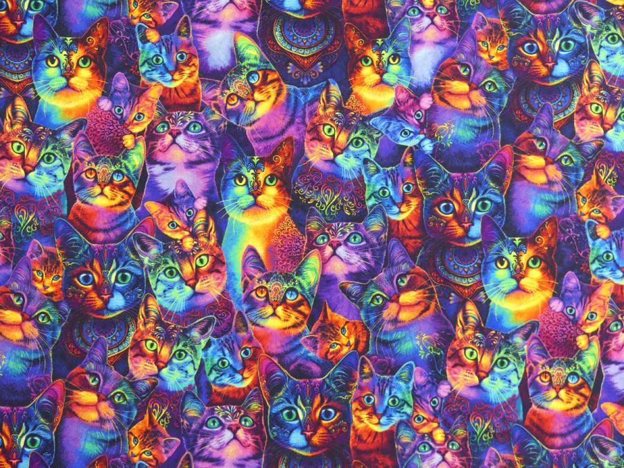 Patchworkstoff mit frechen Katzen in Neonfarben Von Timeless Treasures